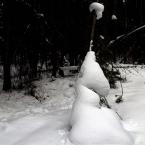 Snow Sculptures
 /  